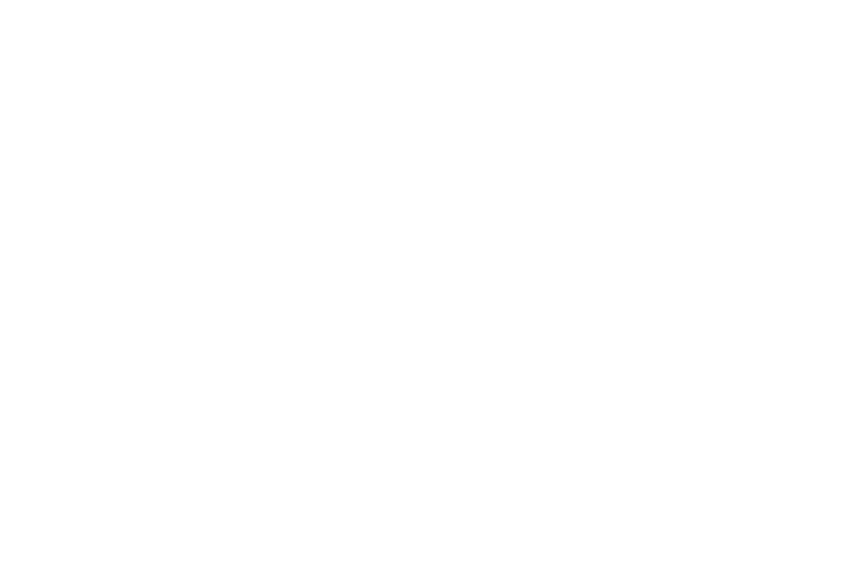 Lane Brynt